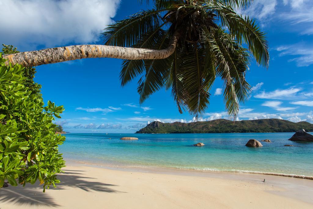 Ferienwohnung Jardin Marron Baie Sainte Anne Exterior foto