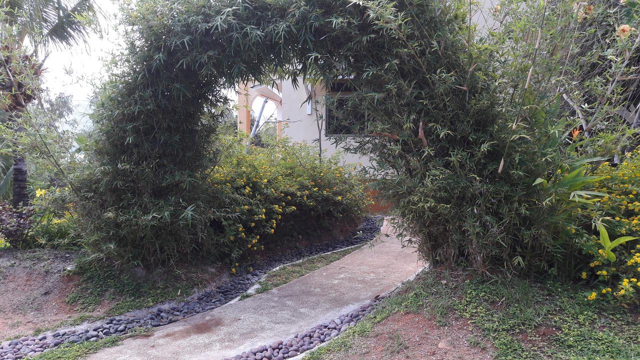 Ferienwohnung Jardin Marron Baie Sainte Anne Exterior foto
